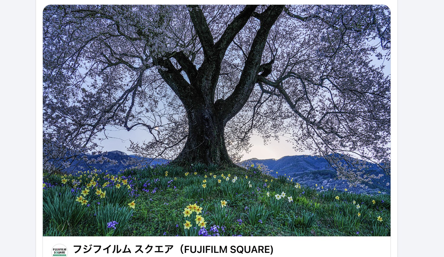 風景画　作:滝洋子 『化石』　【実寸】横100cm ✖️縦84cm✖️ 奥行6cm 井上嘉代子 写真展のお知らせ 2026年4月24日（金）～5月14日（木