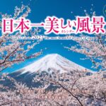 ヤマケイカレンダー